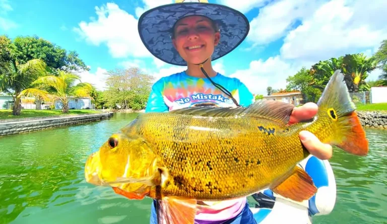 bass fishing fort lauderdale