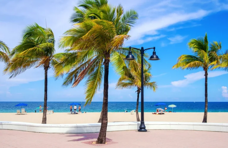 Fun Activities In Fort Lauderdale During Winter