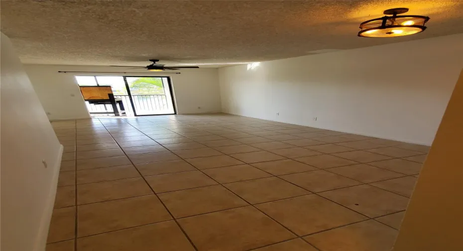 Living Room coming in entrance