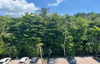 The view from the 4th floor is so peaceful!
