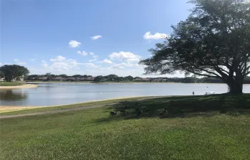 View just outside patio