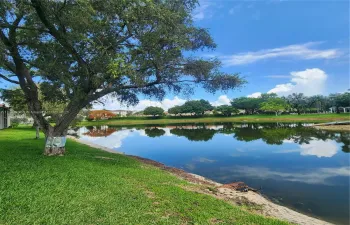 Lake view