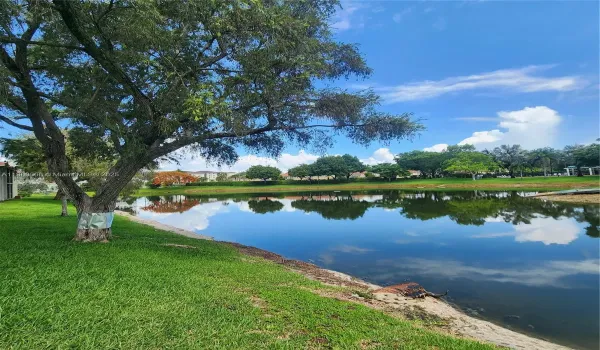 Lake view