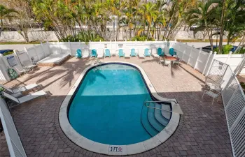 Tropical setting for the pool