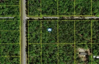 2 ACRES-ST JOHNS COUNTY-FLAGLER ESTATES