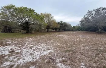 Land For Sale