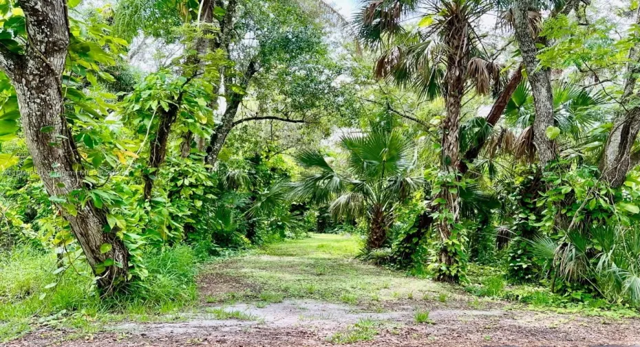 385 Caloosa Drive, LaBelle, FL 33935 - .38 acre home site