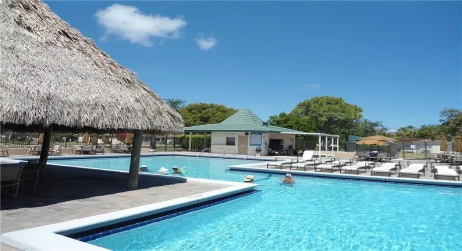 Beautiful Tropical Pool Area