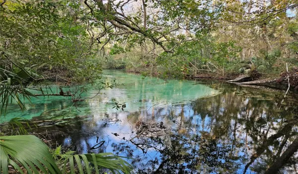 weeki wachee springs