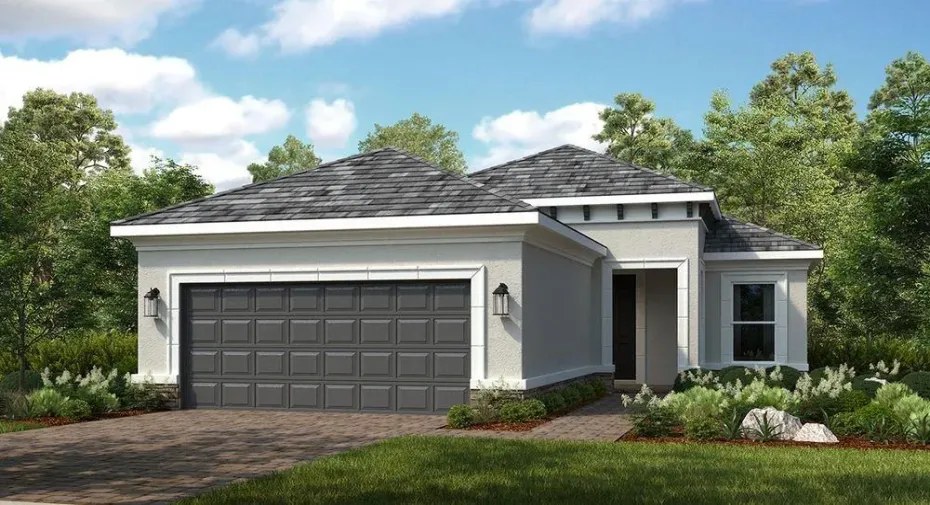 The Capri C ~ Rendering