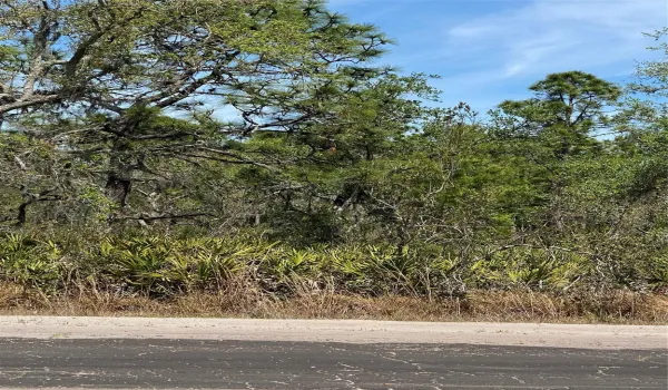 Lot 12 Block 234 Palm Ave