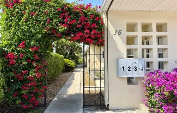 Residential Lease For Rent