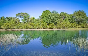 Beautiful Back Yard View