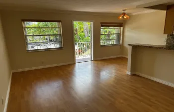 Light filled living room
