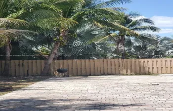 Side Drive Way