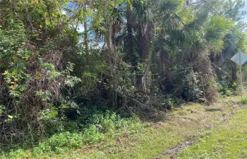 lot tree lined protected and privacy